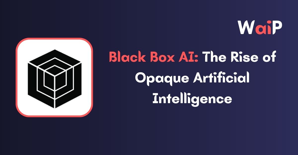 Black Box AI